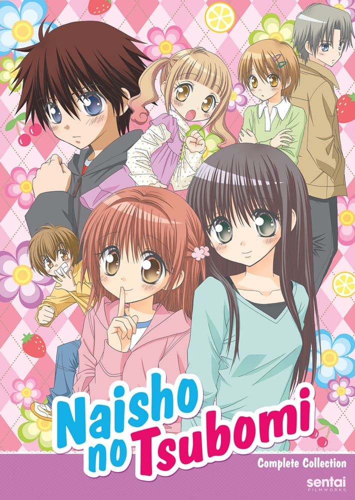 Naisho no Tsubomi OVA (OVA) (Sub) Original Copyright