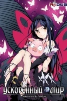 [Comedy] Accel World Specials (Special) (Sub) Full Complete