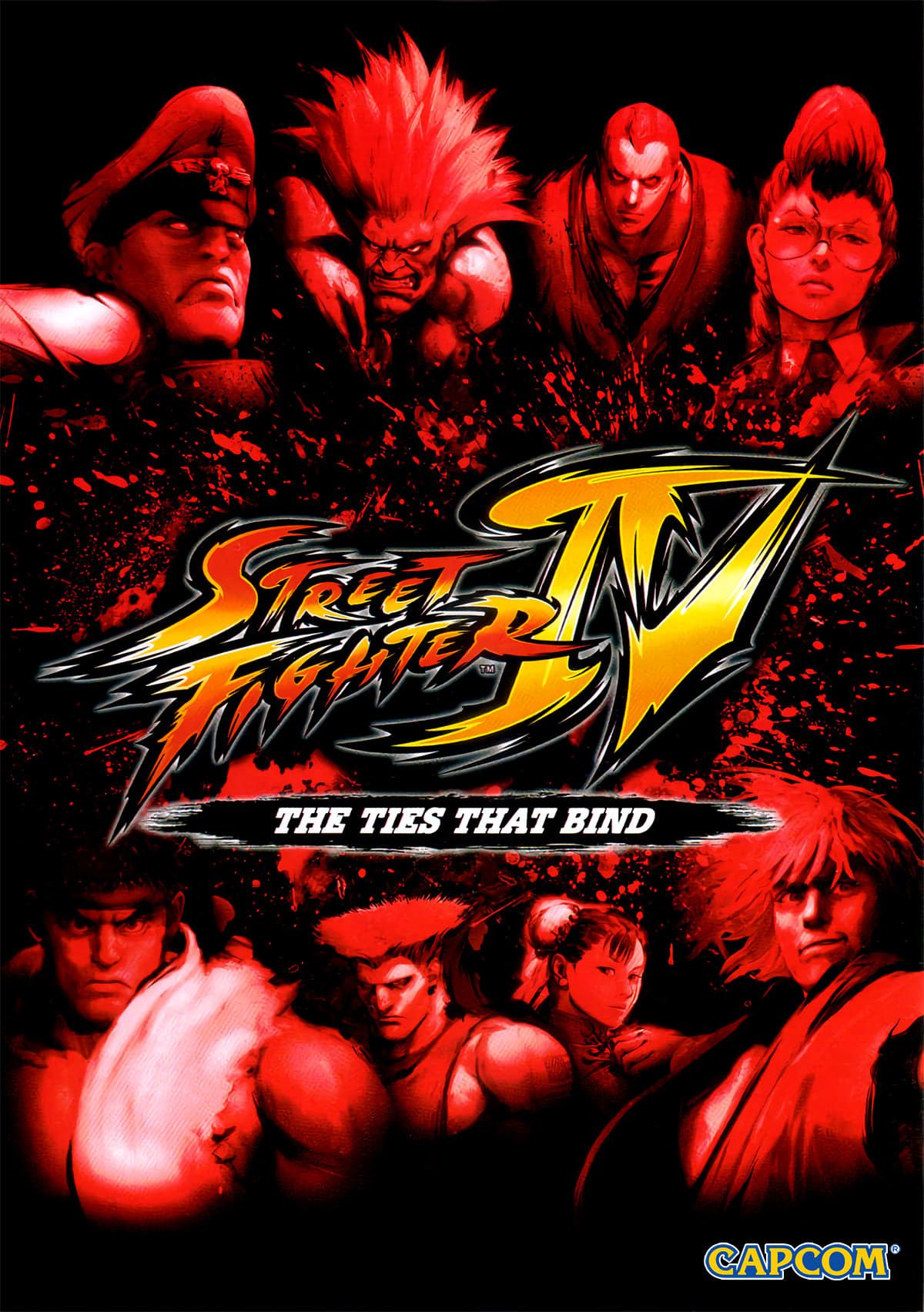 Street Fighter IV: Aratanaru Kizuna
