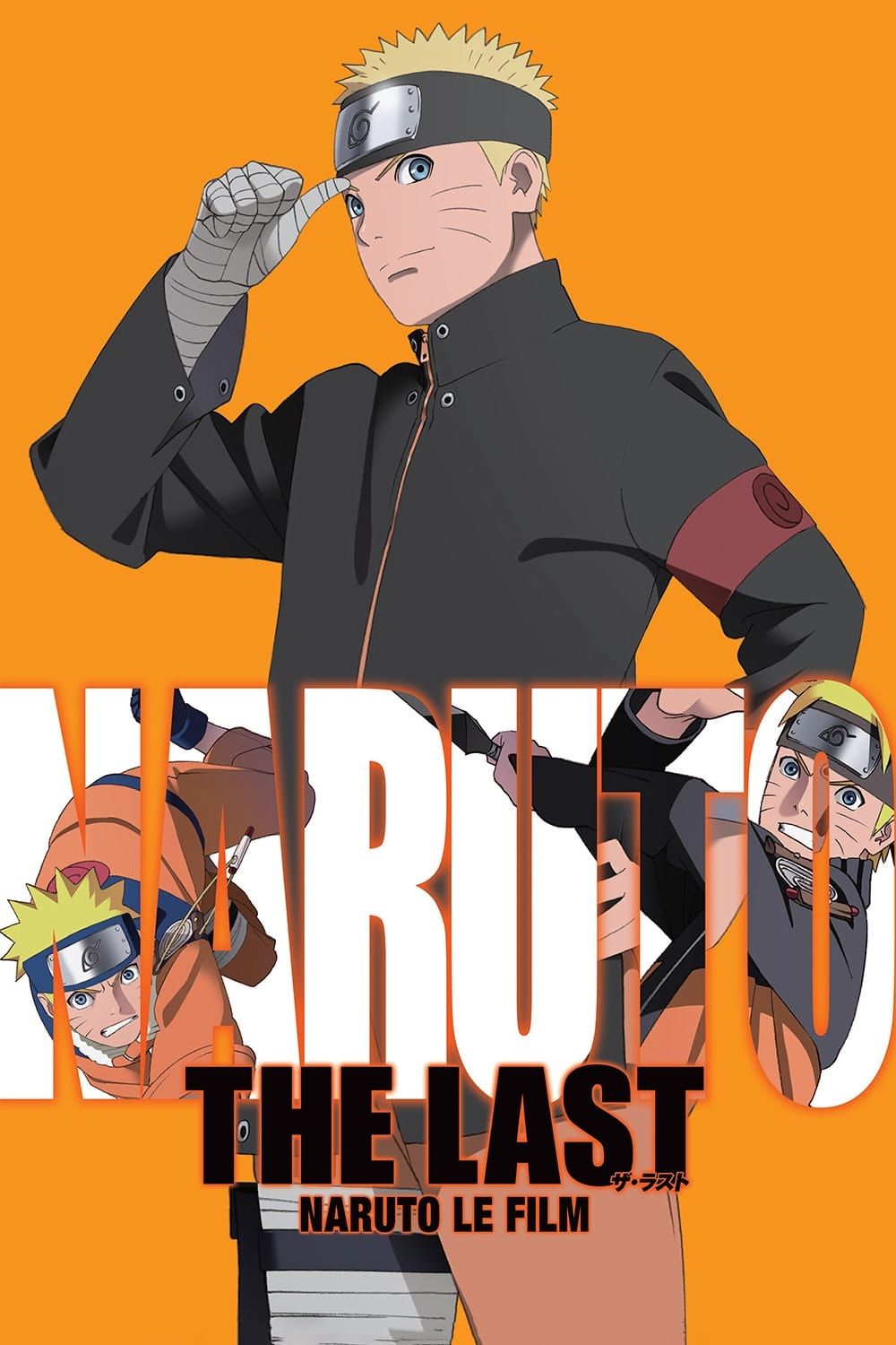 Naruto Shippuden Movie 7: The Last (Movie) (Sub) Standard Version